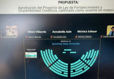 Asambleístas de ADN votaron con la cámara apagada, pese a que el nuevo reglamento aprobado por el CAL y promovido por Niels Olsen, lo prohíbe