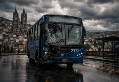Racionalización o irracionalidad busetera