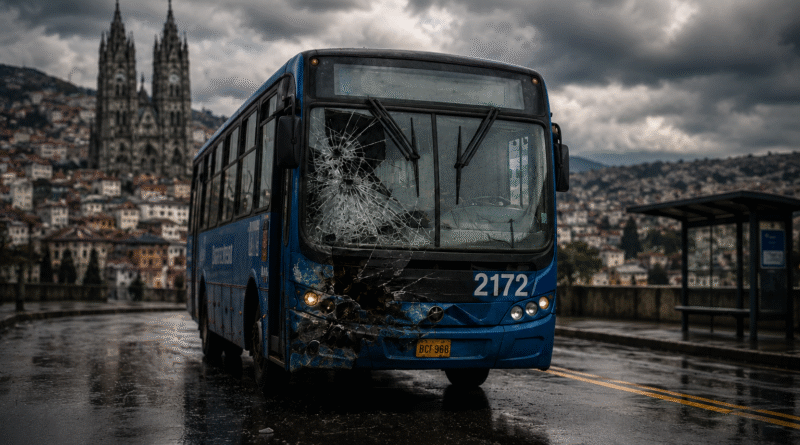 Racionalización o irracionalidad busetera